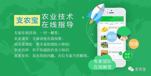 農(nóng)業(yè)技術推廣與軟件開發(fā) 一場數(shù)字時代的持久戰(zhàn)